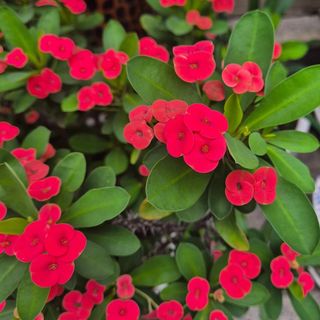 안길원님의 자유주제 · 자유게시판 작성글 사진