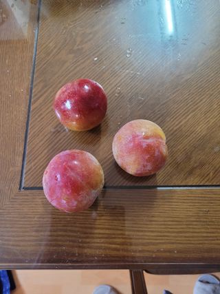 땅땅님의 자유주제 · 자유게시판 작성글 사진