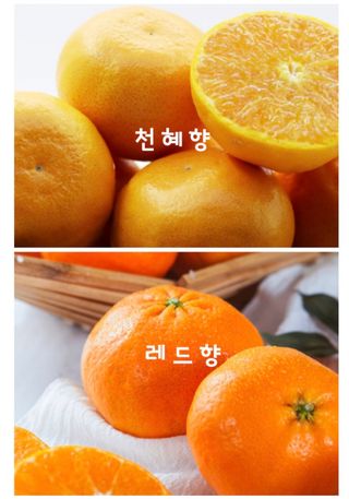 농수사님의 작성글 사진