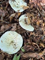 팜모닝 자유주제·자유게시판 게시글 이미지