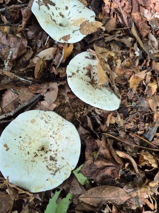 해남댁님의 자유주제 · 자유게시판 작성글 사진
