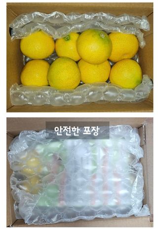 농수사님의 작성글 사진