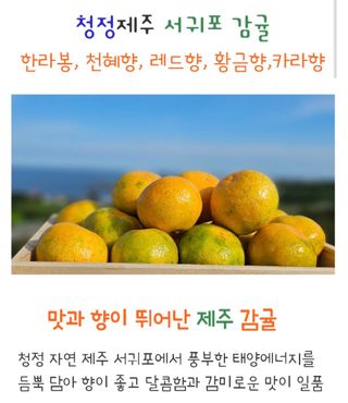 농수사님의 작성글 사진