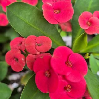 안길원님의 자유주제 · 자유게시판 작성글 사진