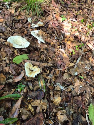 해남댁님의 자유주제 · 자유게시판 작성글 사진