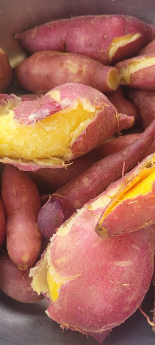 한성님의 자유주제 · 자유게시판 작성글 사진