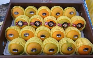 양애숙님의 작성글 사진