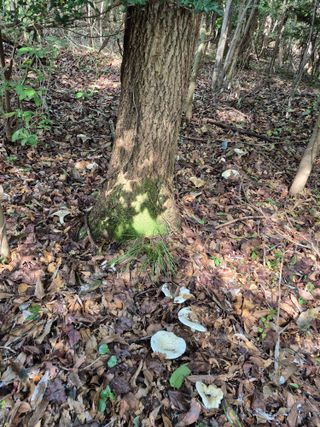 해남댁님의 자유주제 · 자유게시판 작성글 사진