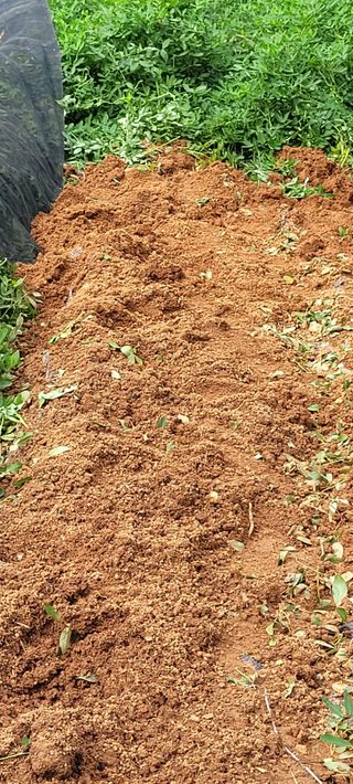 한성님의 자유주제 · 자유게시판 작성글 사진