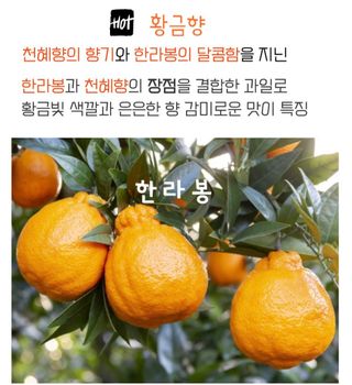 농수사님의 작성글 사진