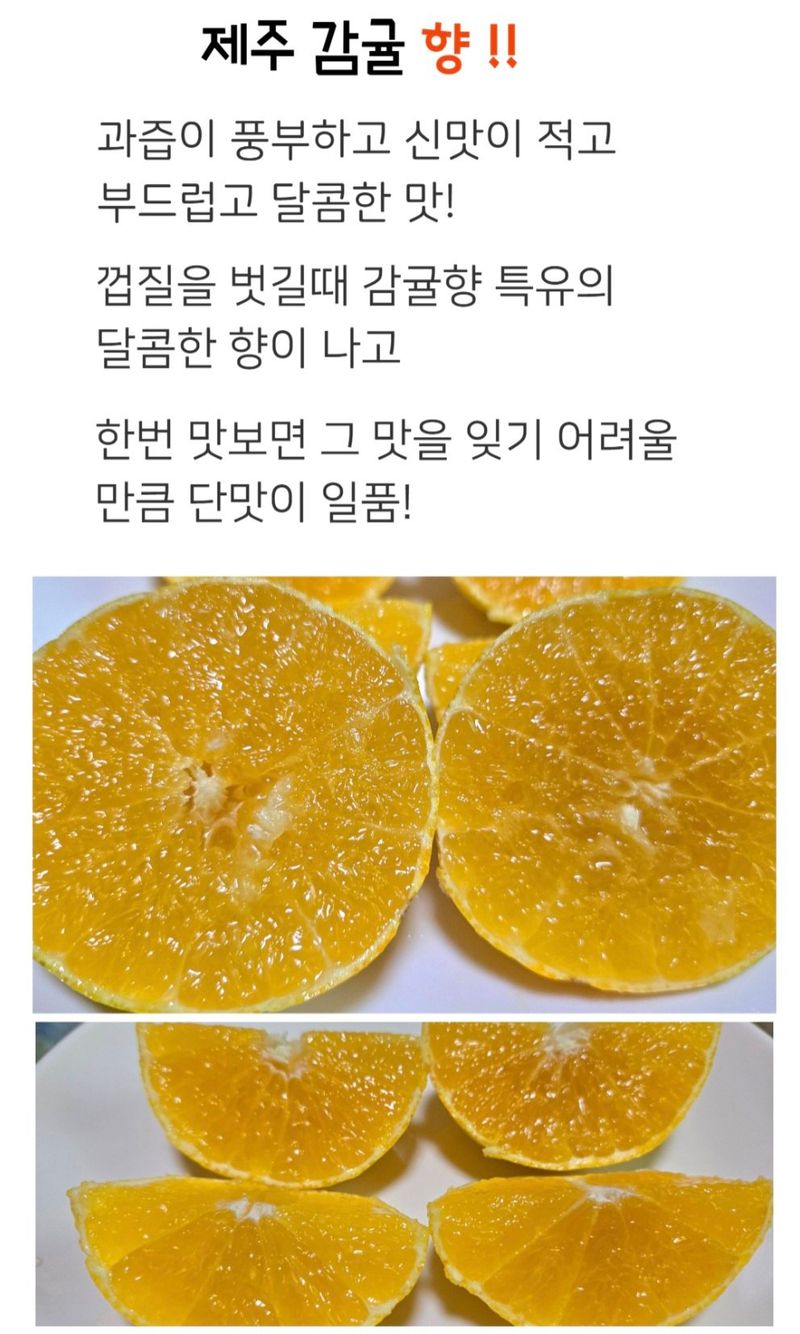 농수사님의 장터 판매 상품 [제주 서귀포 감귤 3키로 산지무료직송] 첨부 사진
