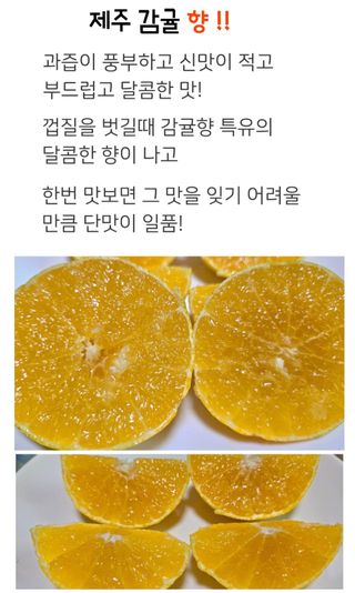 농수사님의 작성글 사진