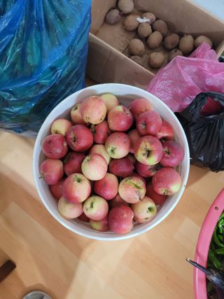 땅땅님의 자유주제 · 자유게시판 작성글 사진