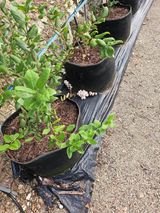 팜모닝 자유주제·자유게시판 게시글 이미지