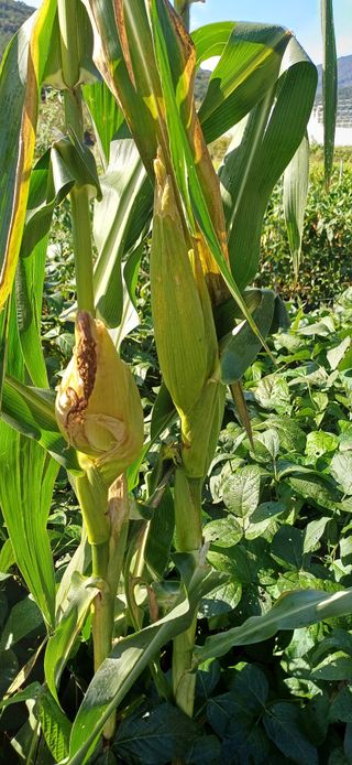 이강재님의 자유주제 · 자유게시판 작성글 사진