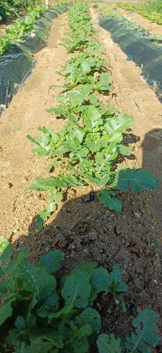 이강재님의 자유주제 · 자유게시판 작성글 사진