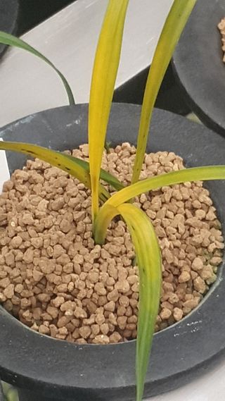 문봉갑님의 작성글 사진