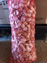 팜모닝 · 게시글 이미지