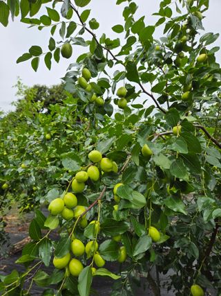최동수님의 자유주제 · 사진전 작성글 사진