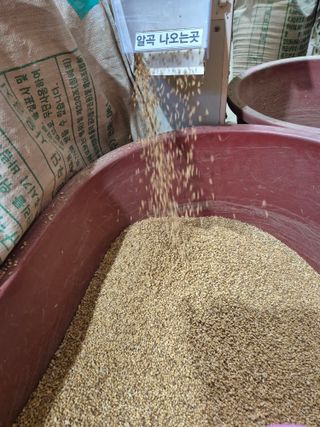 김영진(전남영광)님의 자유주제 · 자유게시판 작성글 사진