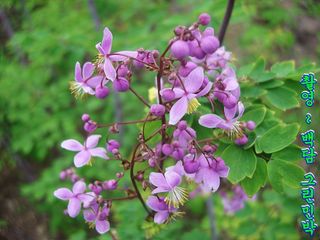 고추건조기부품판매님의 자유주제 · 자유게시판 작성글 사진
