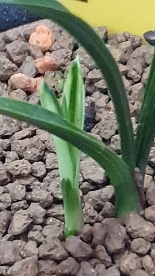 문봉갑님의 작성글 사진