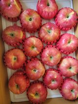 팜모닝 · 게시글 이미지