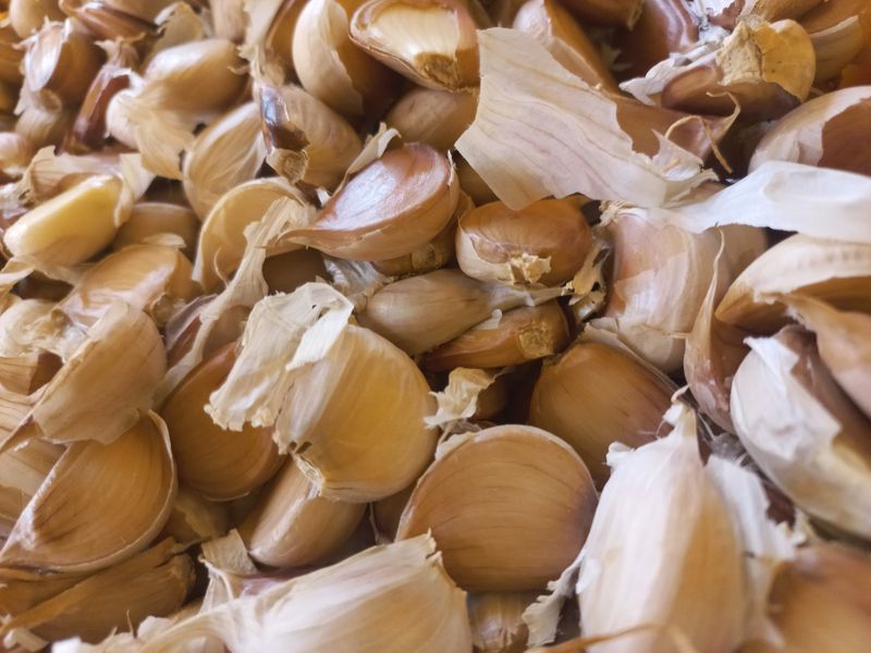 박린님의 장터 판매 상품 [홍산마늘 1세대쪽분리,단구] 첨부 사진