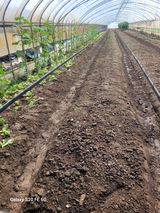 팜모닝 자유주제·자유게시판 게시글 이미지