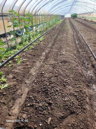 박위병님의 자유주제 · 자유게시판 작성글 사진