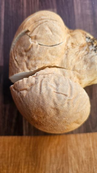 강병천님의 자유주제 · 자유게시판 작성글 사진