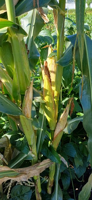 이강재님의 자유주제 · 자유게시판 작성글 사진