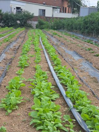 조종문님의 작성글 사진