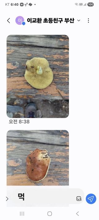 모기파리님의 자유주제 · 자유게시판 작성글 사진