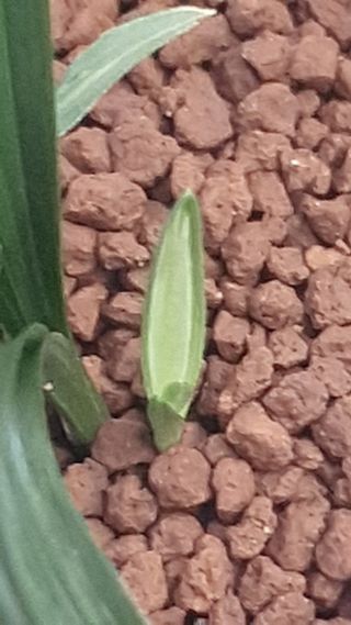 문봉갑님의 작성글 사진