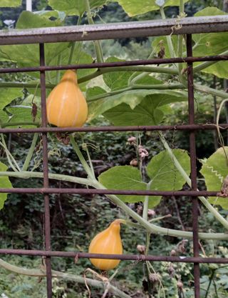 인생은 소풍처럼님의 자유주제 · 자유게시판 작성글 사진