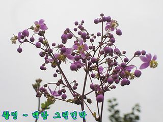 고추건조기부품판매님의 자유주제 · 자유게시판 작성글 사진