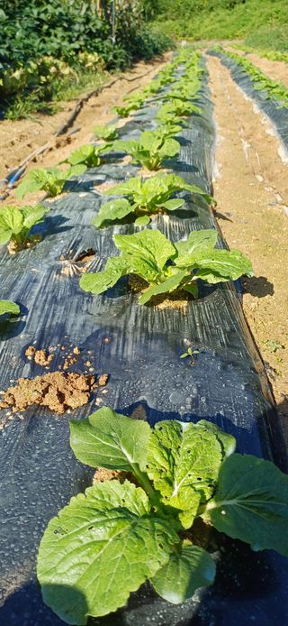 이강재님의 자유주제 · 자유게시판 작성글 사진