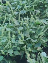 팜모닝 자유주제·자유게시판 게시글 이미지