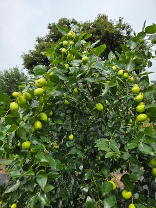 최동수님의 자유주제 · 사진전 작성글 사진