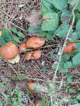 팜모닝 자유주제·자유게시판 게시글 이미지