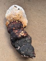 팜모닝 자유주제·자유게시판 게시글 이미지