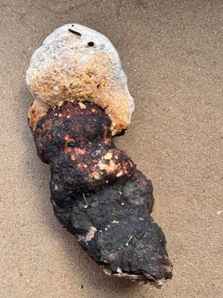 최순희20673님의 자유주제 · 자유게시판 작성글 사진