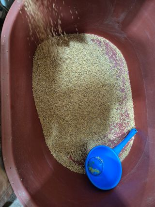 김영진(전남영광)님의 자유주제 · 자유게시판 작성글 사진