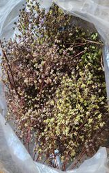 팜모닝 자유주제·자유게시판 게시글 이미지