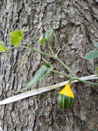 인생은 소풍처럼님의 자유주제 · 자유게시판 작성글 사진