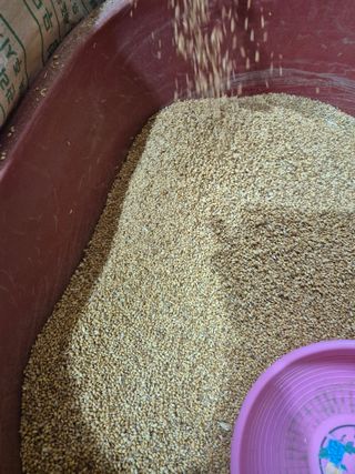 김영진(전남영광)님의 자유주제 · 자유게시판 작성글 사진