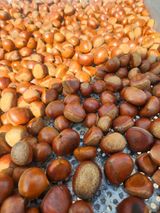 팜모닝 자유주제·자유게시판 게시글 이미지