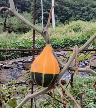 인생은 소풍처럼님의 자유주제 · 자유게시판 작성글 사진