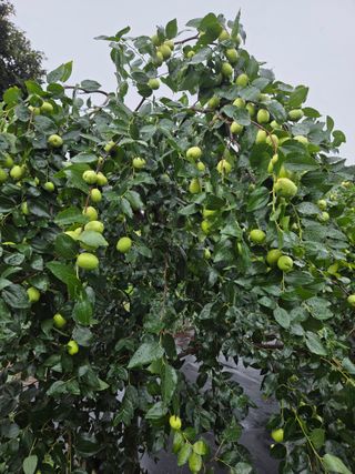 최동수님의 자유주제 · 사진전 작성글 사진